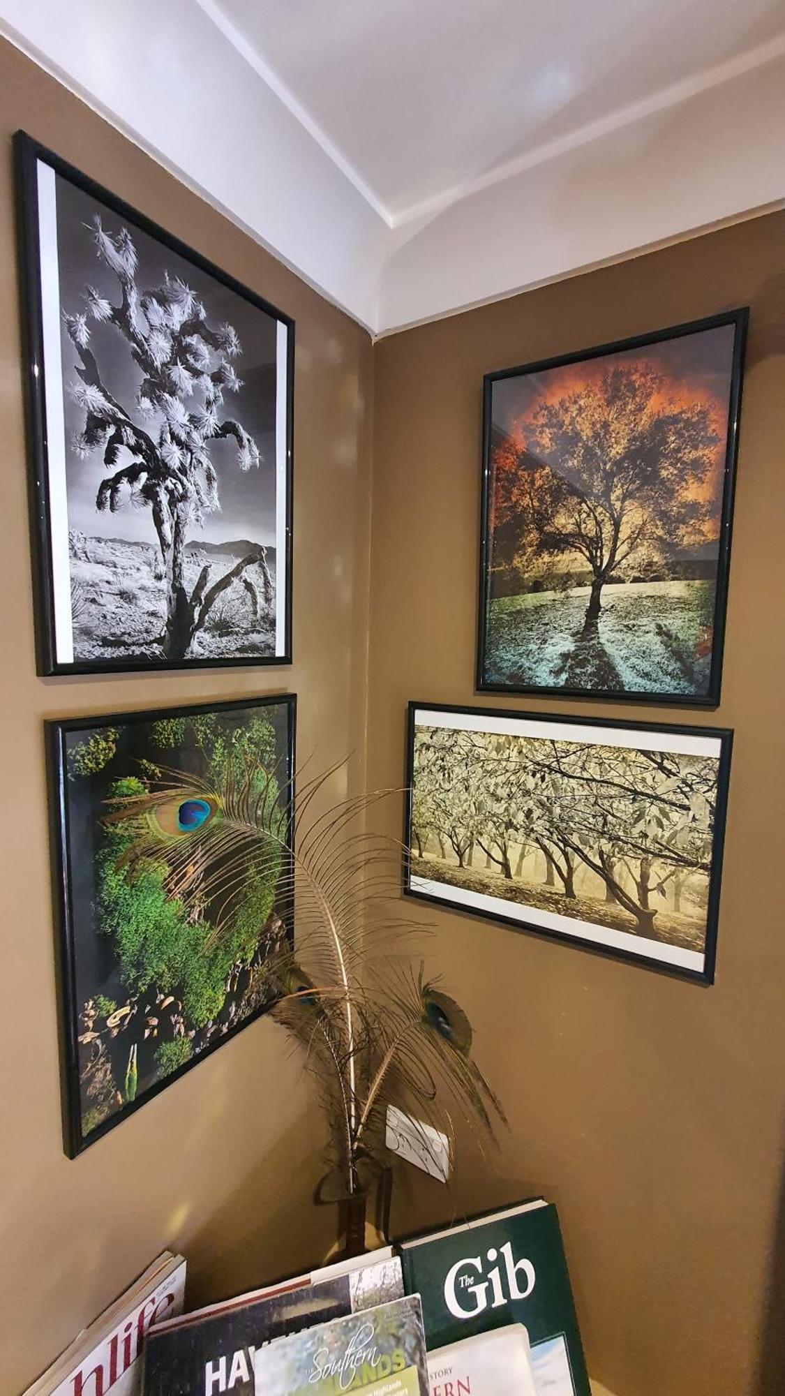 Bowral Road Art Gallery Bed And Breakfast Mittagong Ngoại thất bức ảnh