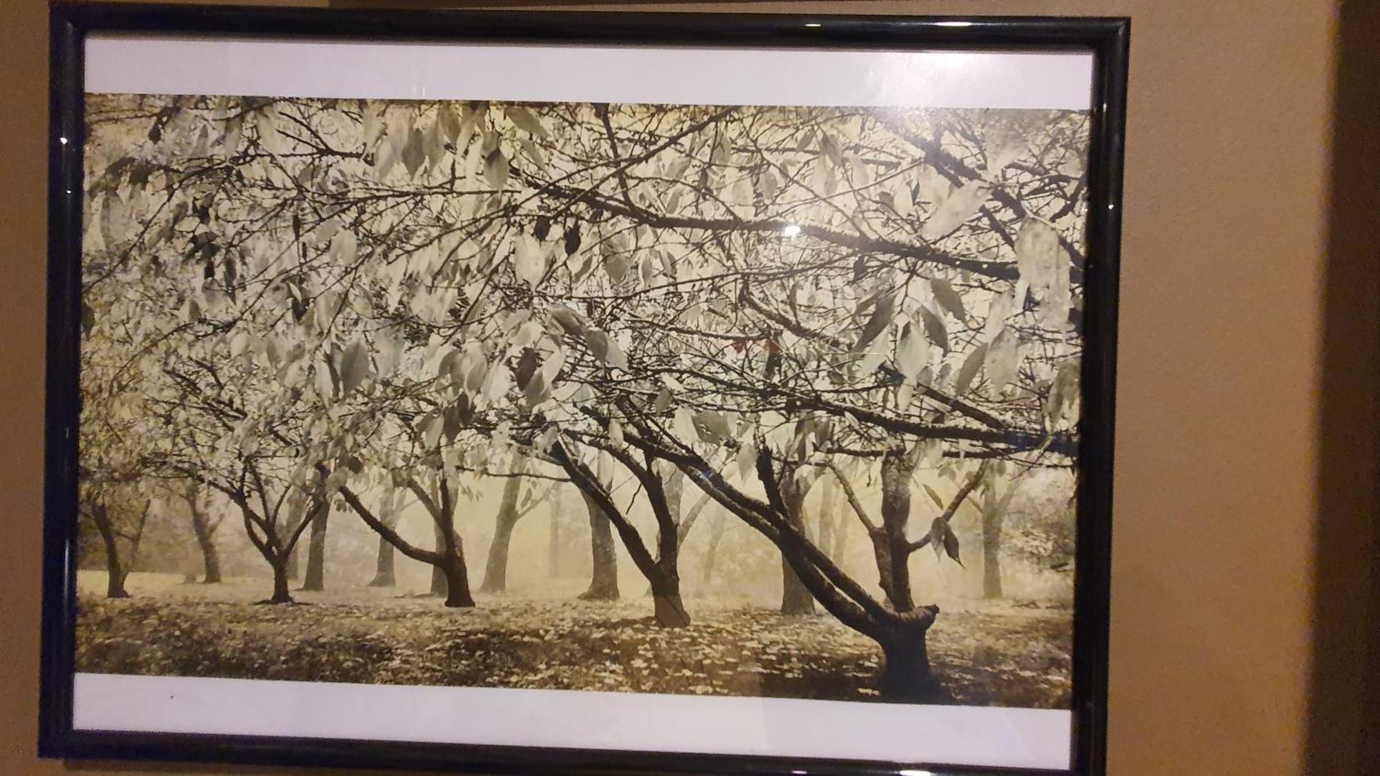 Bowral Road Art Gallery Bed And Breakfast Mittagong Ngoại thất bức ảnh