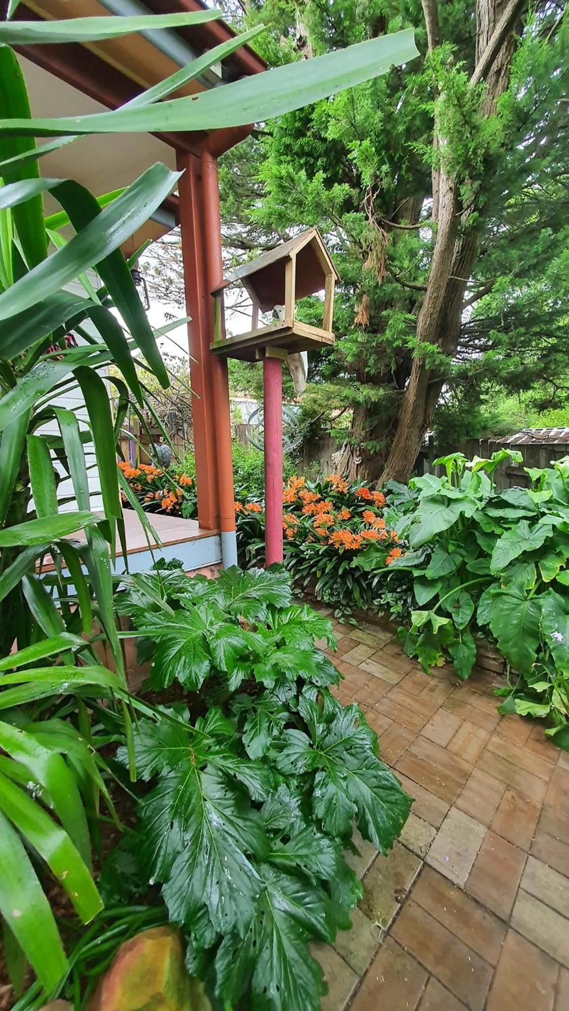 Bowral Road Art Gallery Bed And Breakfast Mittagong Ngoại thất bức ảnh