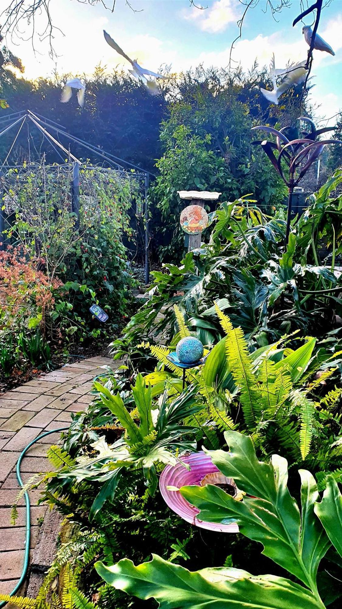 Bowral Road Art Gallery Bed And Breakfast Mittagong Ngoại thất bức ảnh