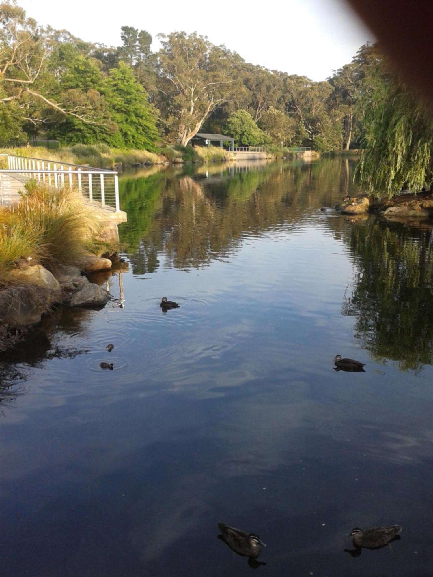 Bowral Road Art Gallery Bed And Breakfast Mittagong Ngoại thất bức ảnh