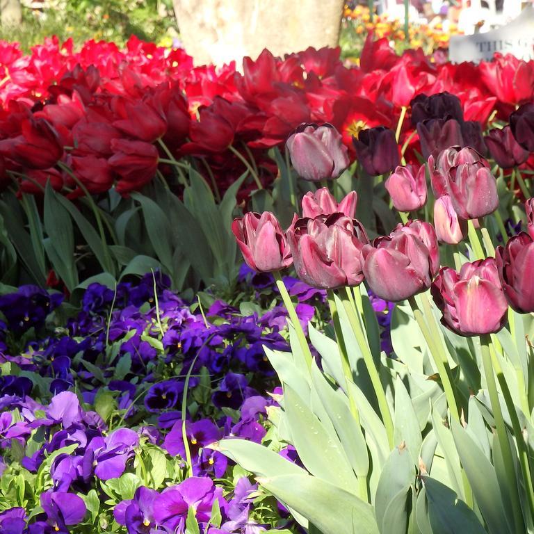 Bowral Road Art Gallery Bed And Breakfast Mittagong Ngoại thất bức ảnh