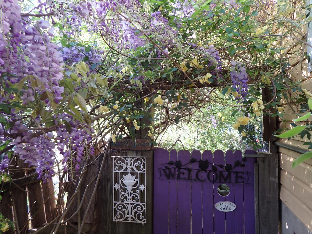 Bowral Road Art Gallery Bed And Breakfast Mittagong Ngoại thất bức ảnh
